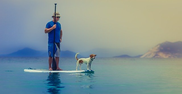 Mann mit Hund stehend auf dem Surfbrett